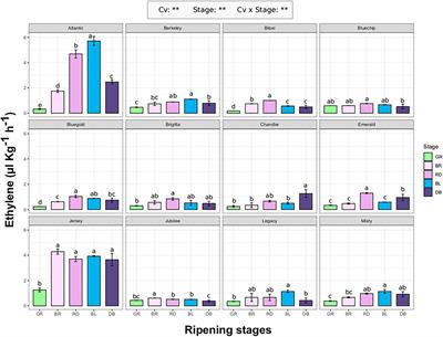 Ethylene Production Affects Blueberry Fruit Texture and Storability